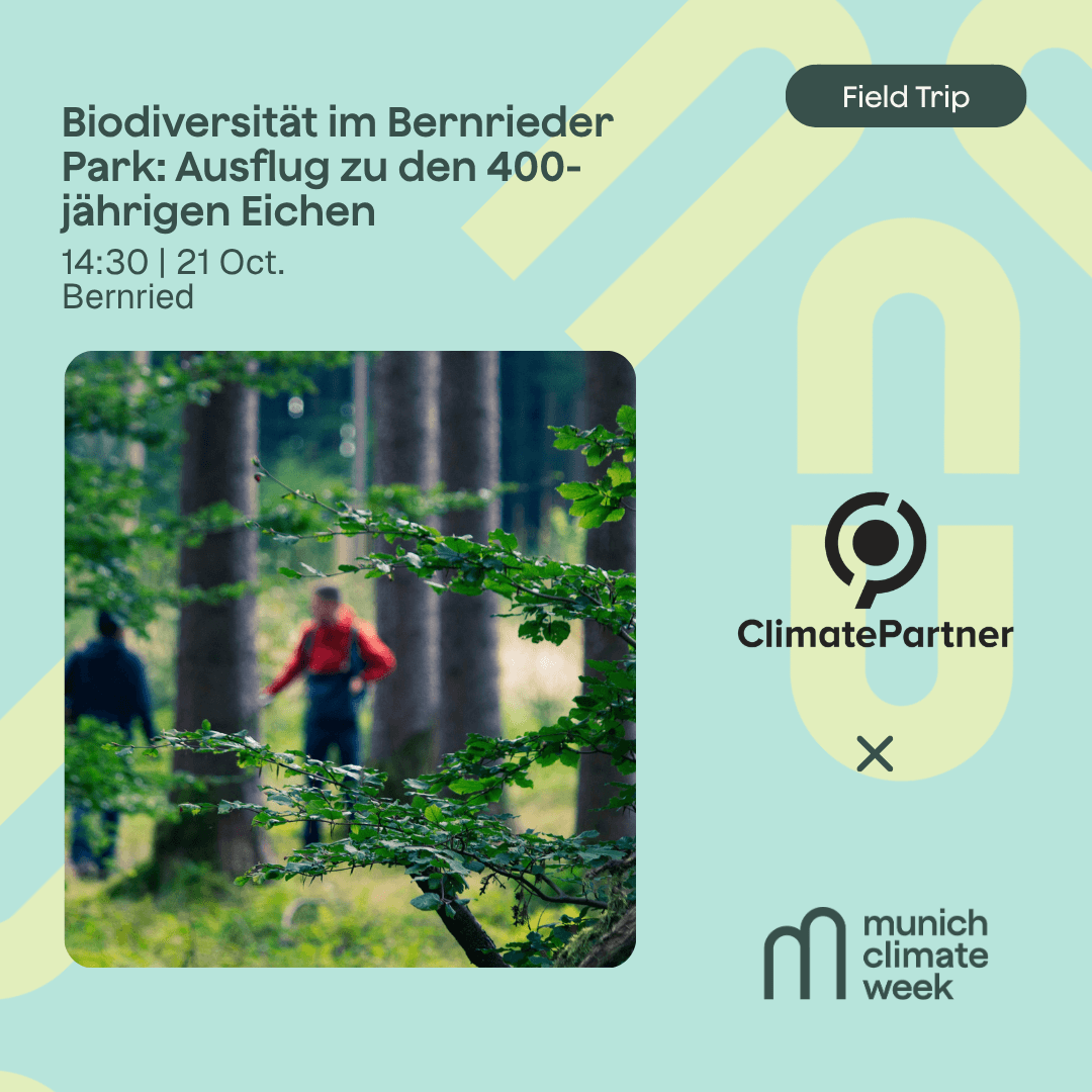 Biodiversität im Bernrieder Park: Ausflug zu den 400-jährigen Eichen
