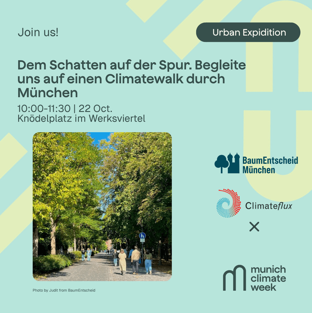 Dem Schatten auf der Spur