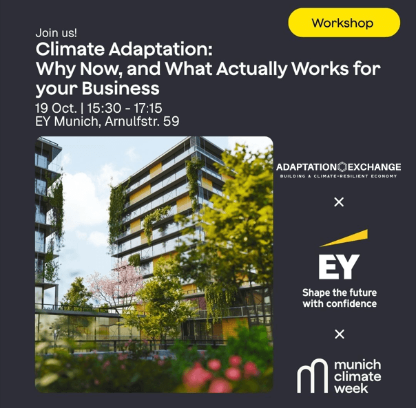 Climate Adaptation: Why Now, and What Actually Works for your Business