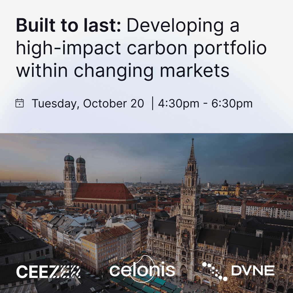 Built to last: Developing a high-impact carbon portfolio within changing markets