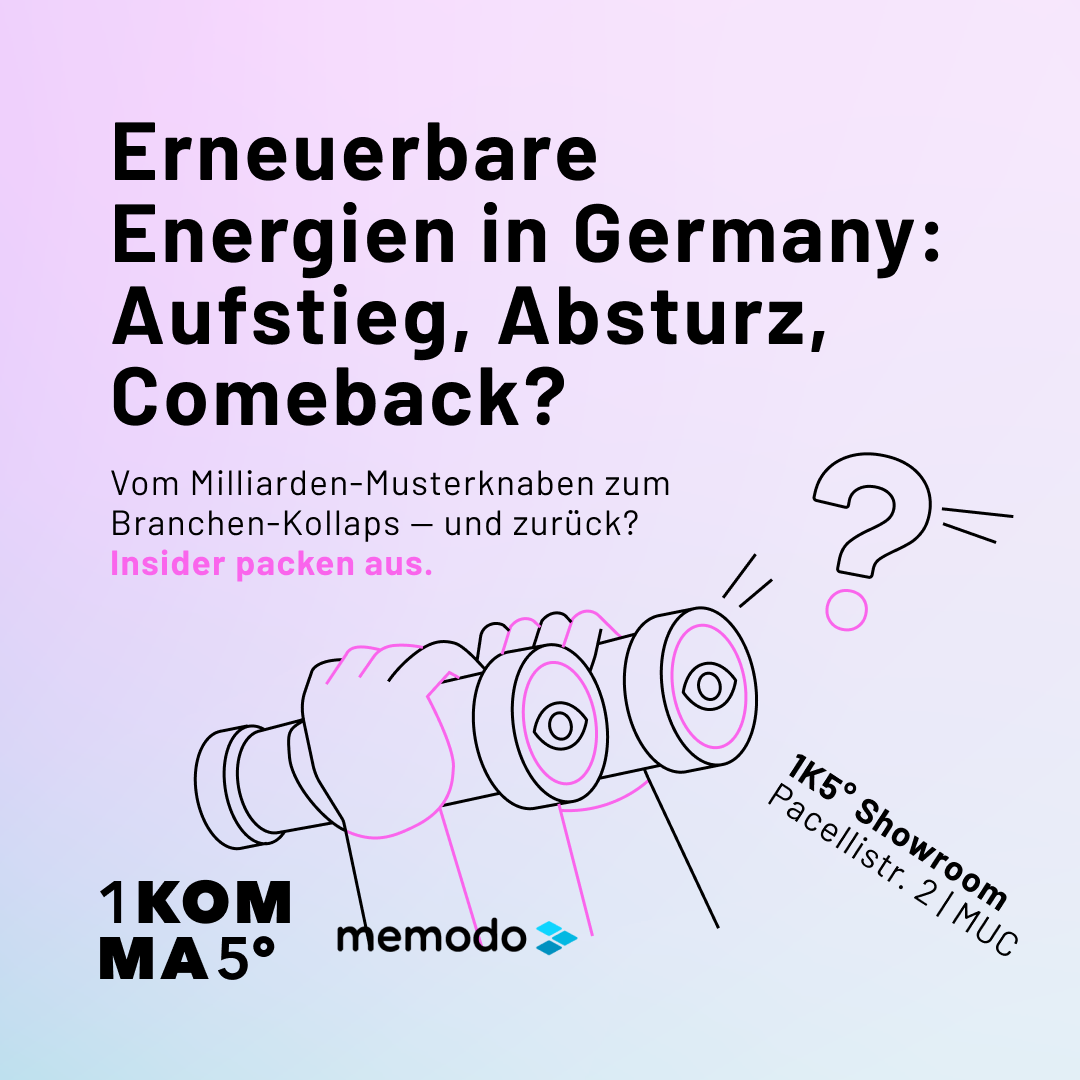 Erneuerbare Energien in Germany: Aufstieg, Absturz, Comeback?